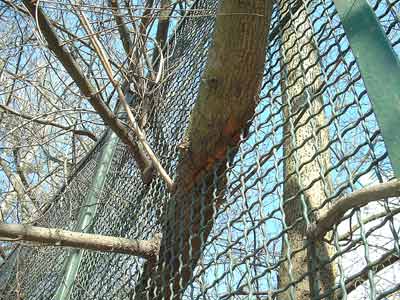 Bild: Kraft der Natur